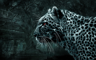 леопард, Картинка, смотрит, 3d, дикая кошка