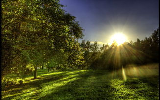 лес, утро, трава, зелень, лучи, солнце, весна, поляна лес, утро, трава, зелень, лучи, солнце, весна, поляна